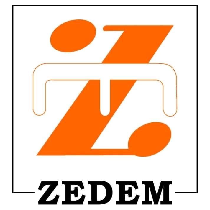 ZEDEM logo